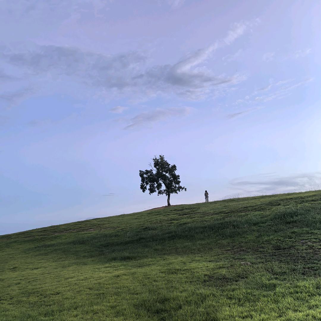 苡沫