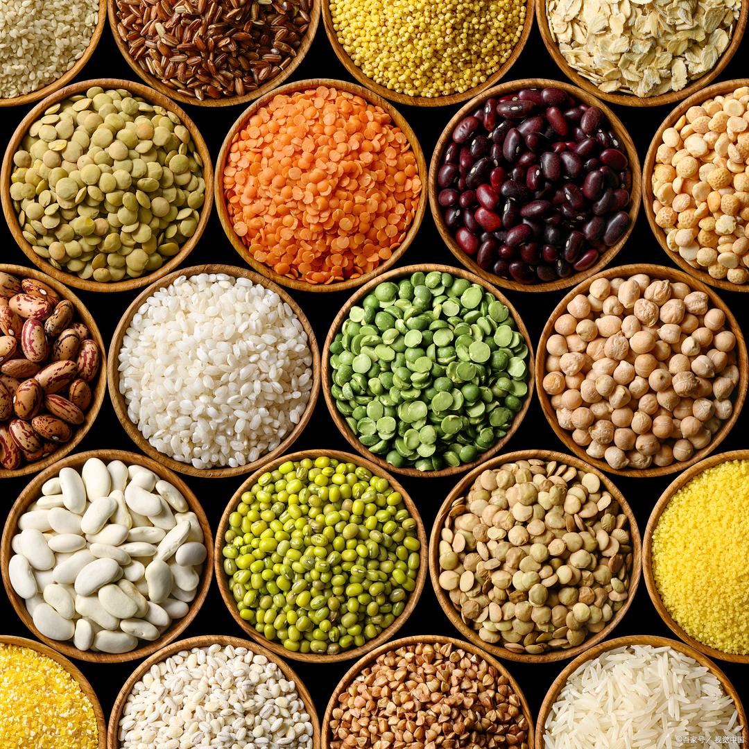 青梧左老师福养