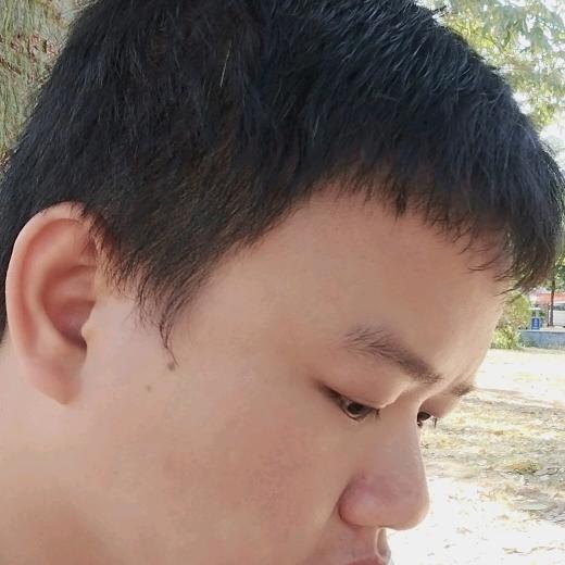 林总