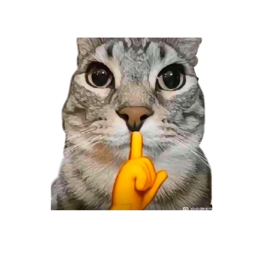 爆炸猫(猫meme)