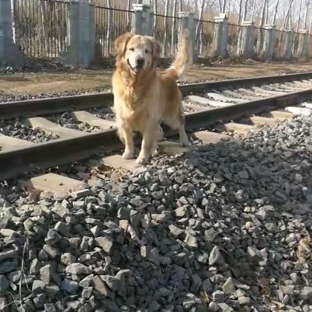 河北大街