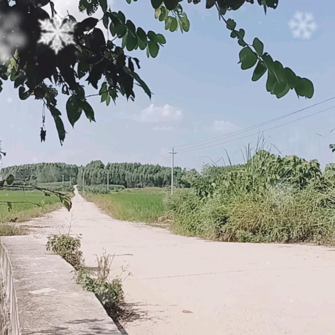 思念@
