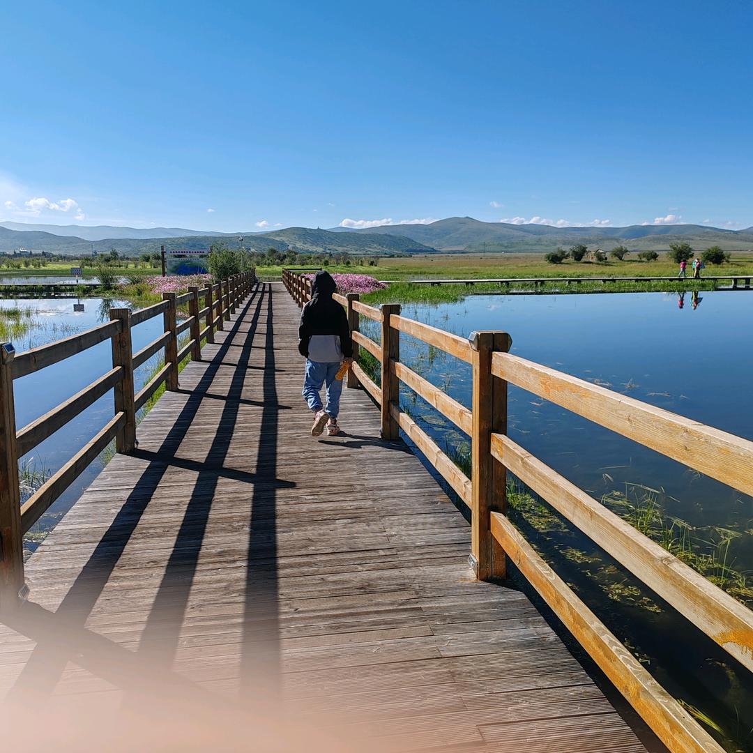 尔馨服饰团体定制