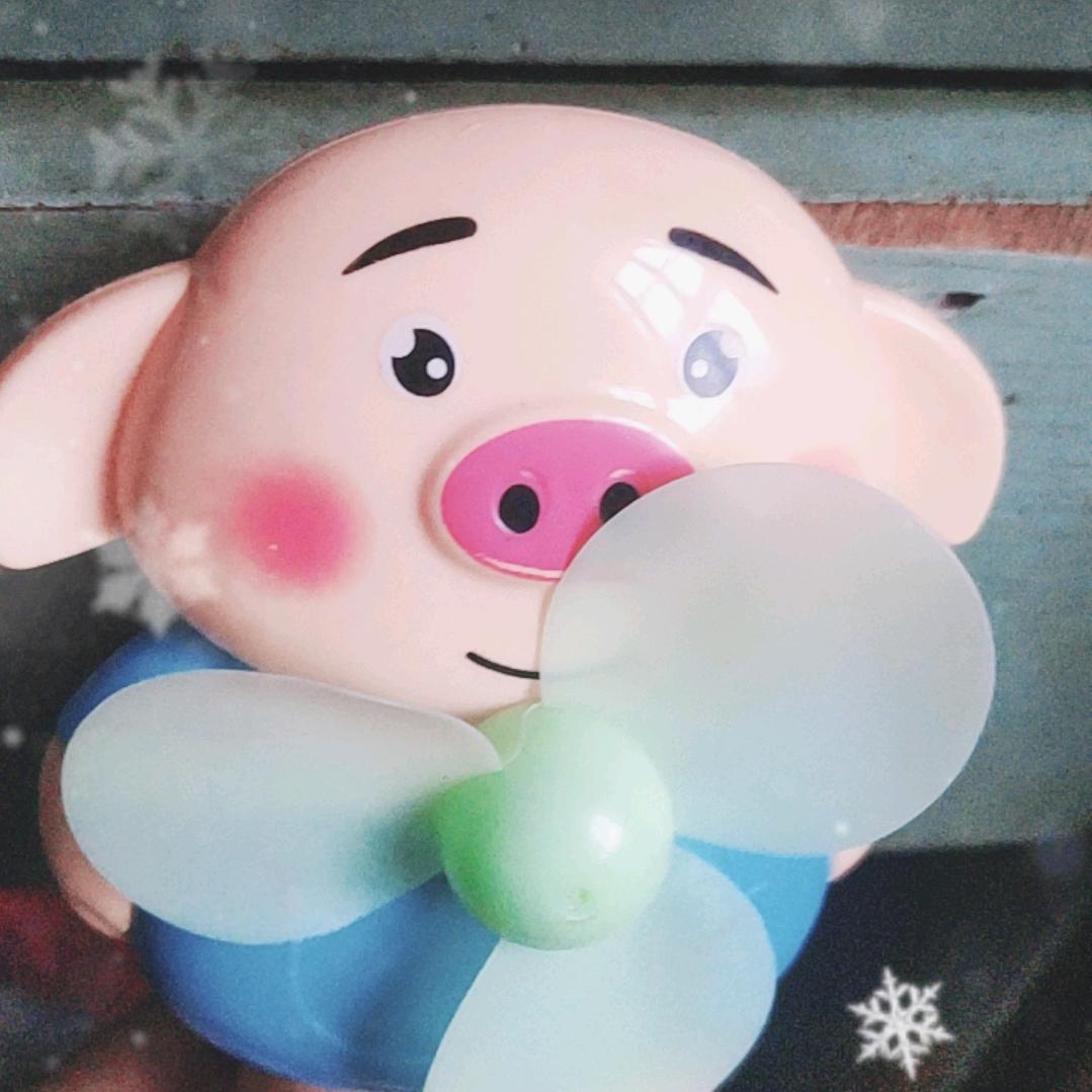 红梅（红菊