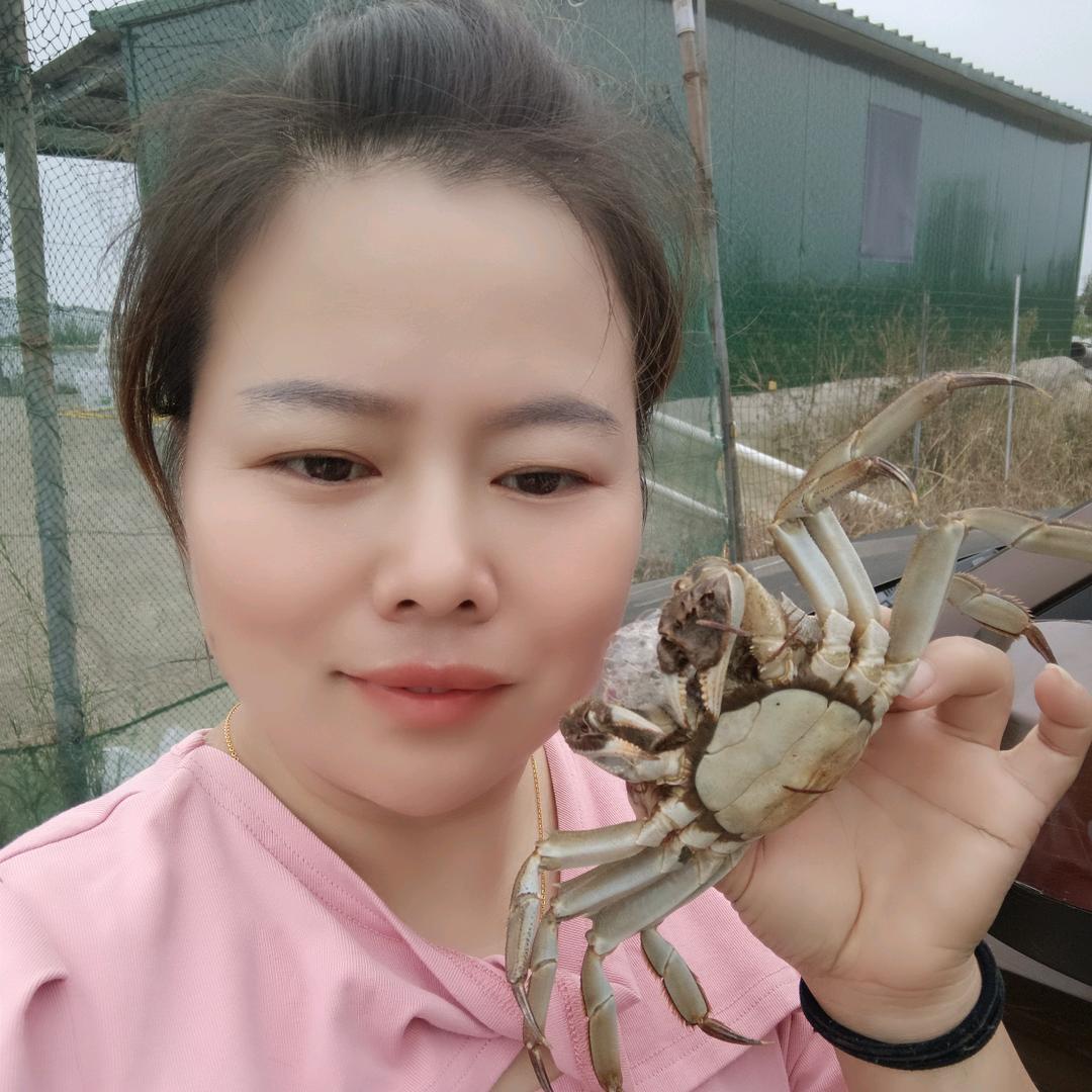 芹儿好物 大闸蟹塘口直供（招代理