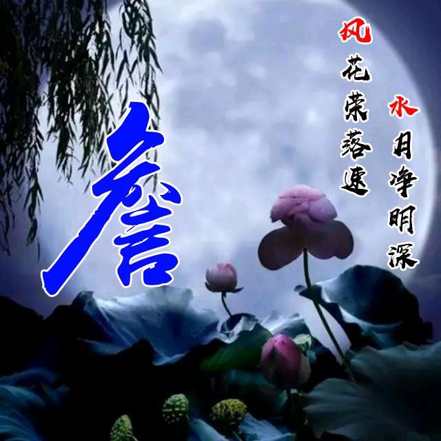 安姐优选