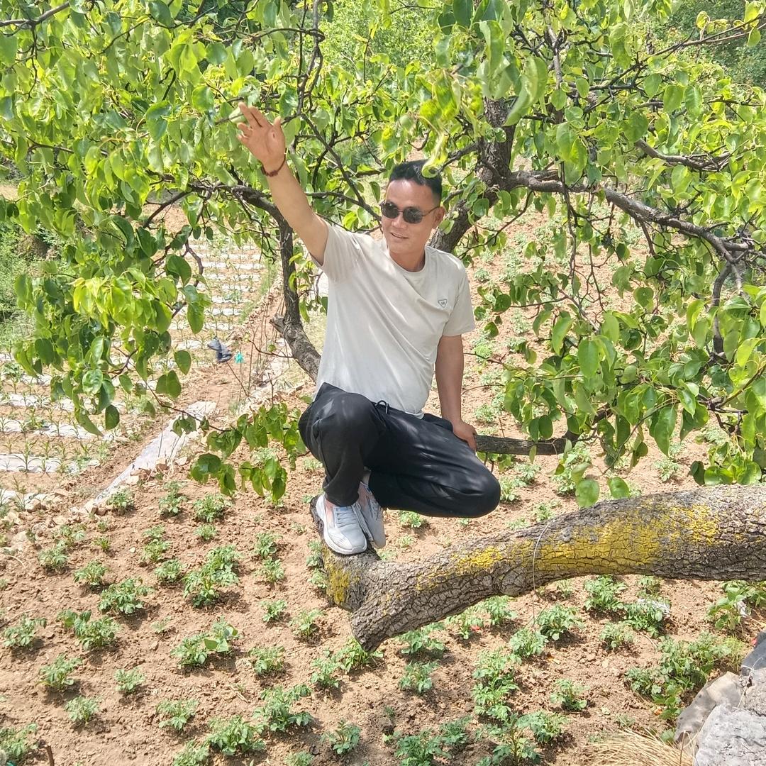 🔥草根艺人🔥