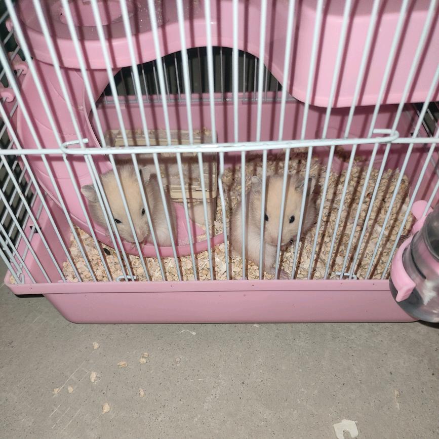 時間^O^沉淀^O^一切