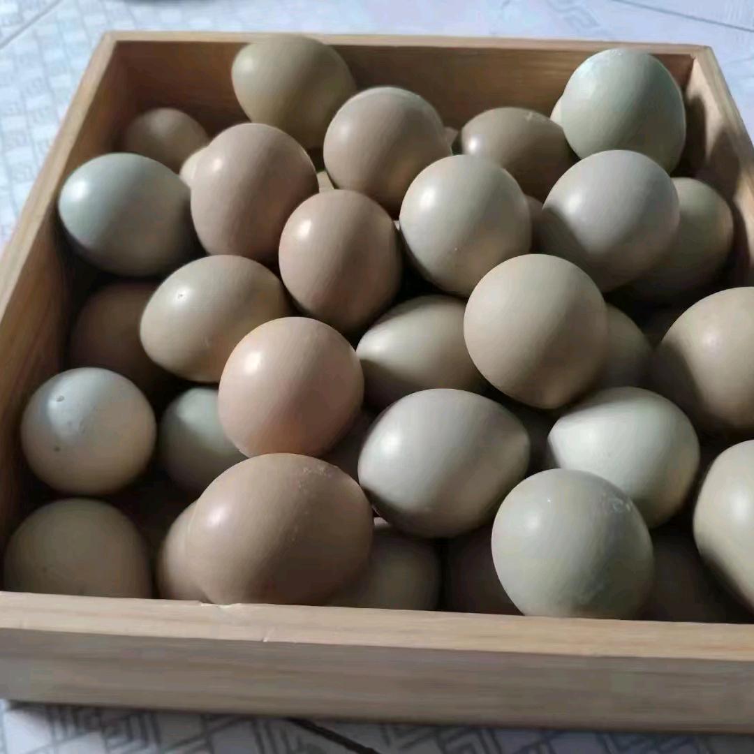 正宗七彩野鸡蛋