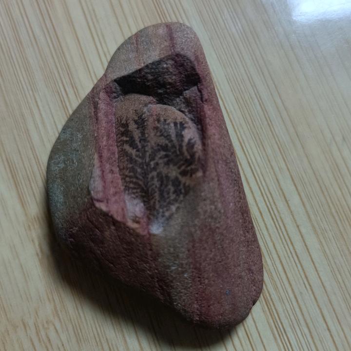 序奋胡