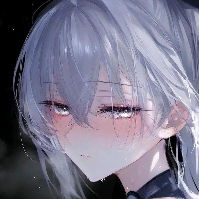 银狼