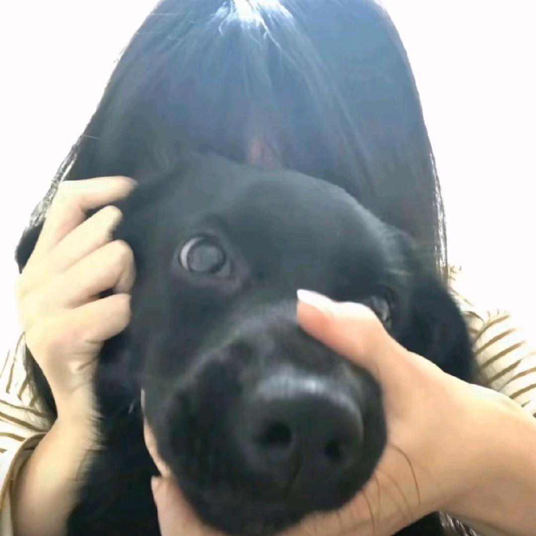 你的s相超乎你的想象