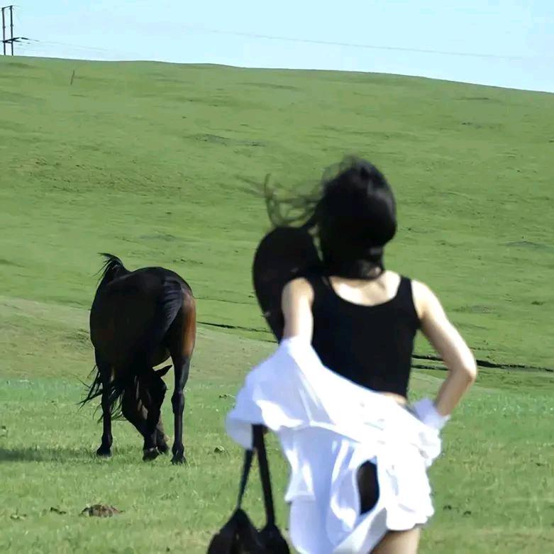 等风来