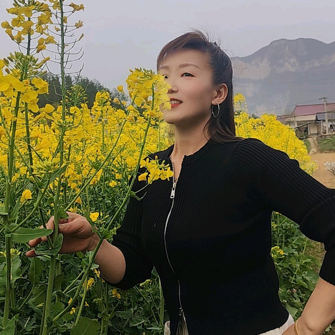 💃凤仙姐姐💃