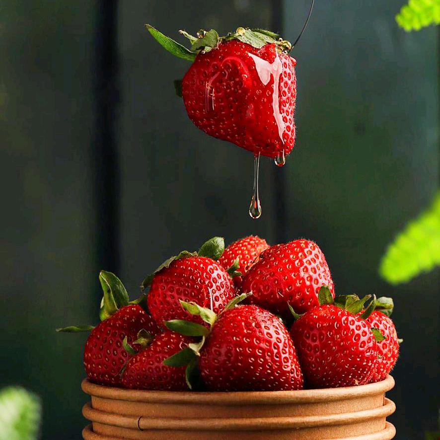 草莓聚乐部采摘园🍓