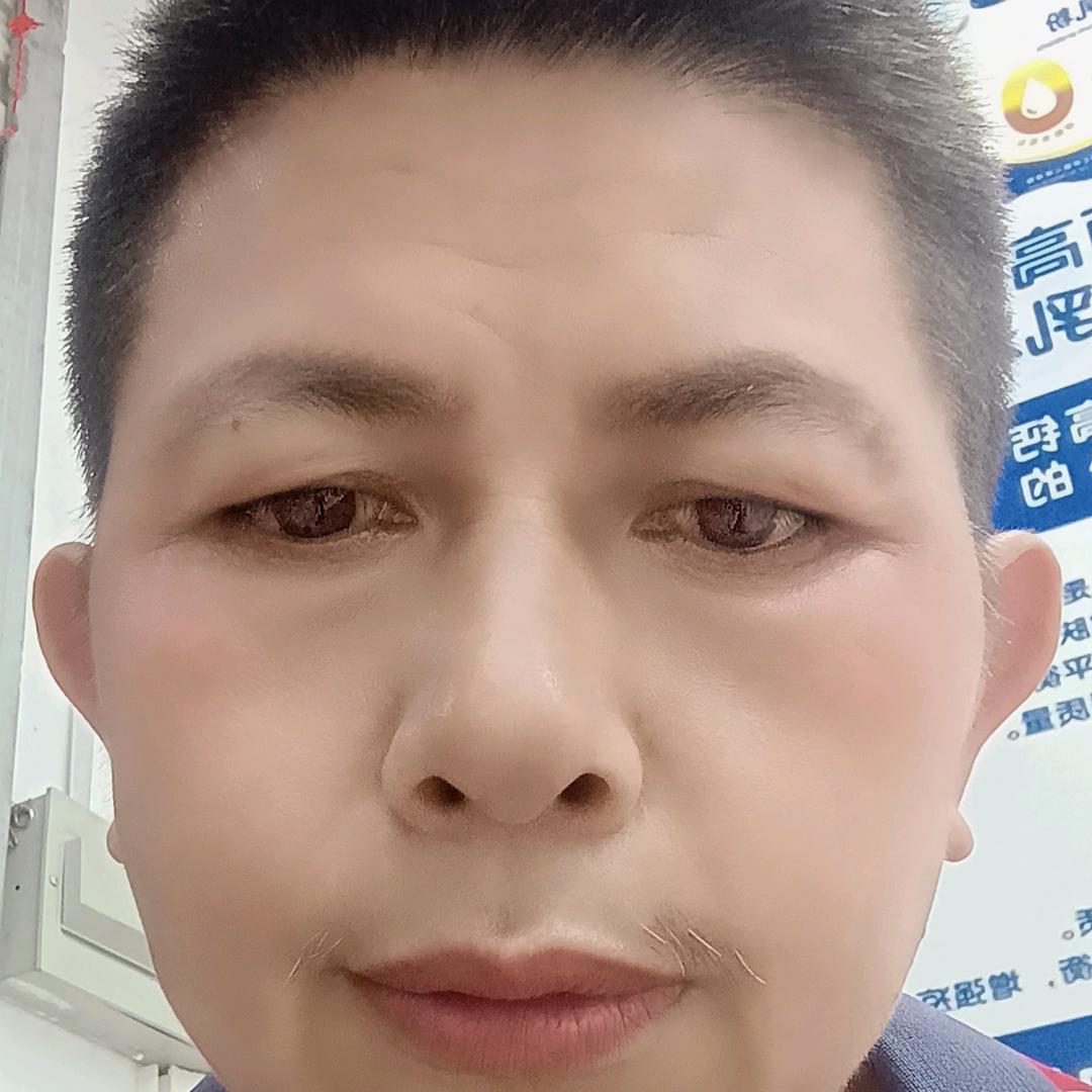 八月桂花香满天