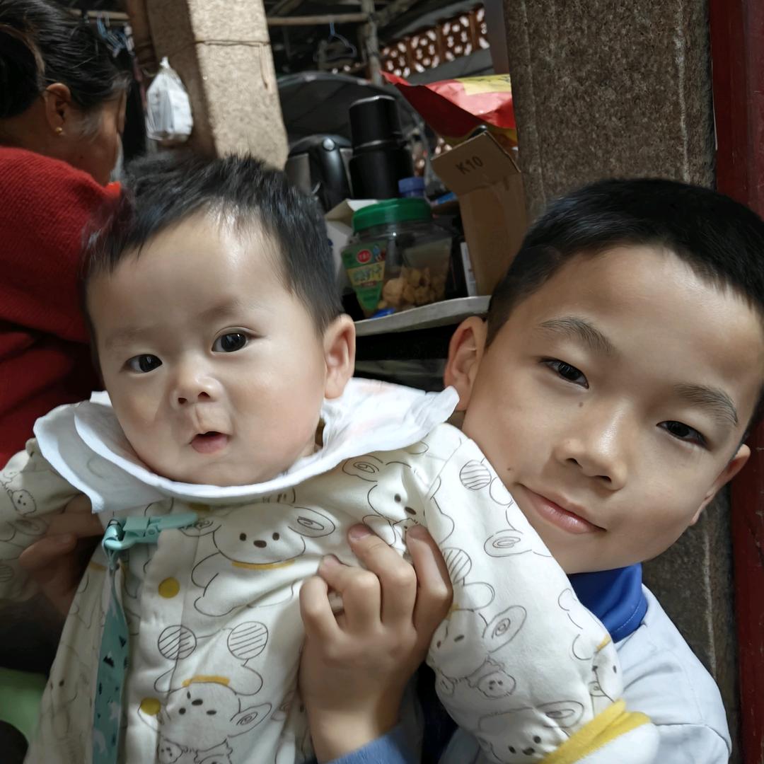 一只活了二十多年的猪