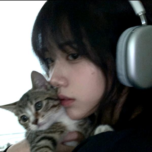 小猫偷看月亮🐳