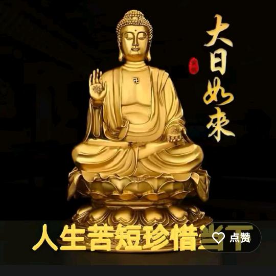 ᭄🕊余生᭄ꦿᩚ٭随心🦋