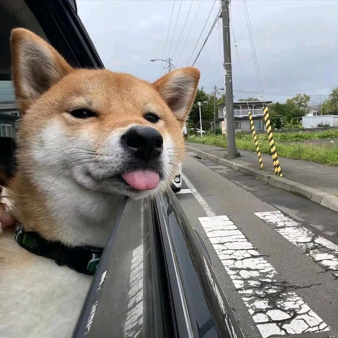 冷暖