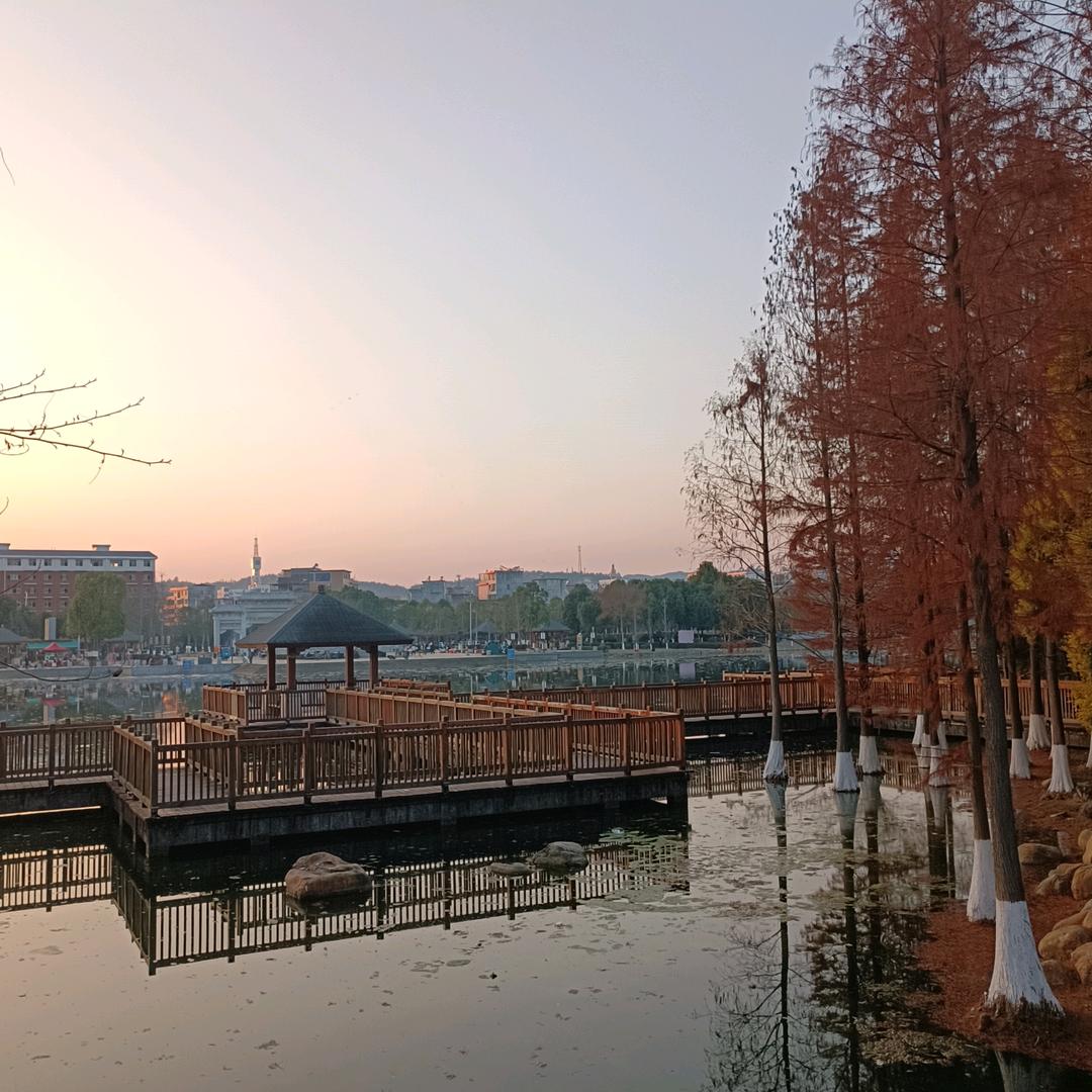 芯芯吖