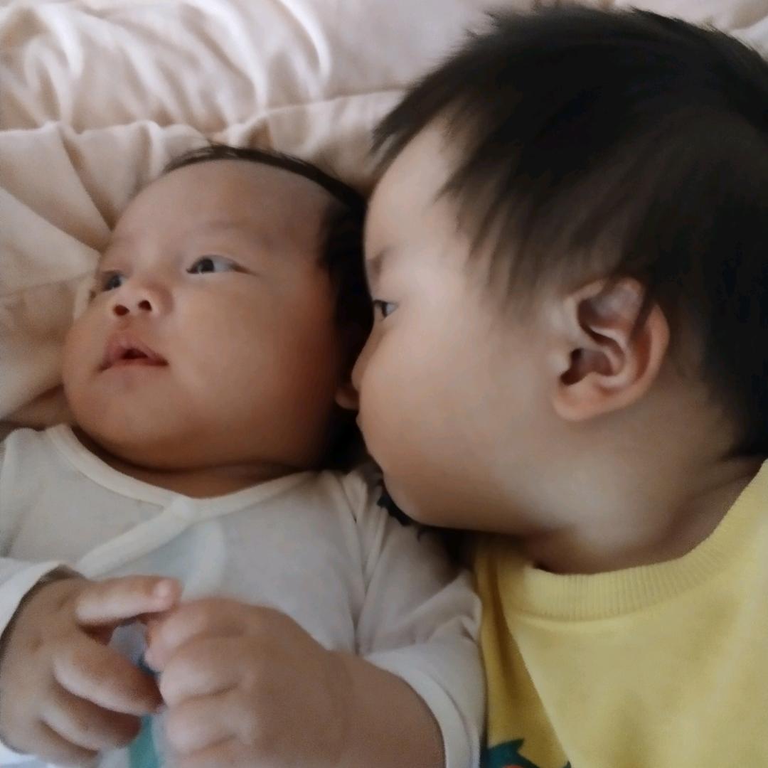 酒🌜醉🌛的🌸蝴🌺蝶🌻