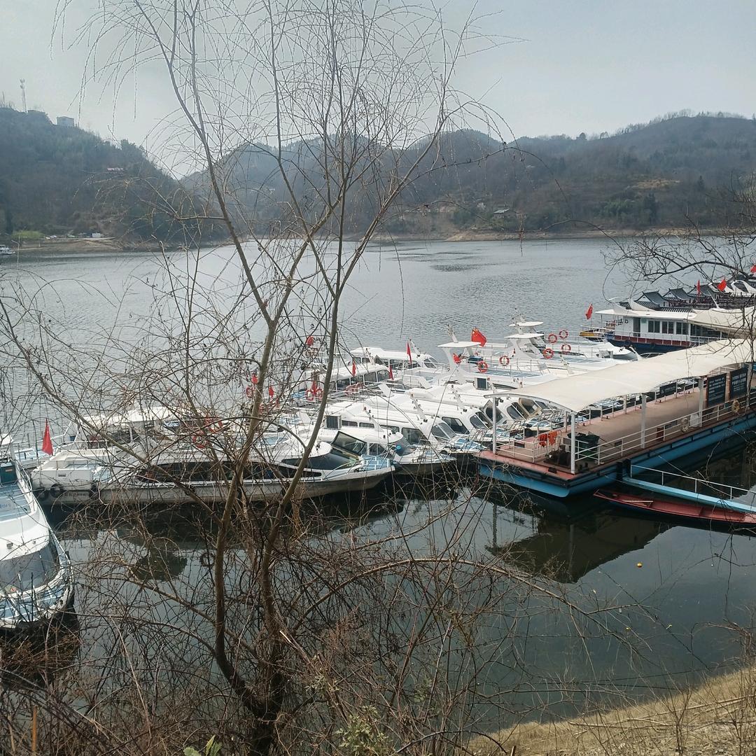 随风→_→去流浪