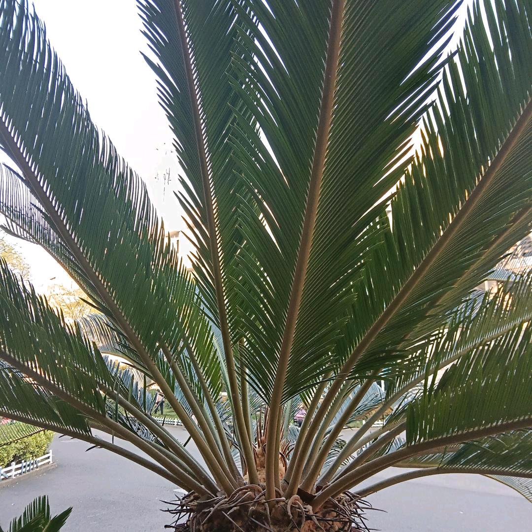 用户6795939383109筠连县开容