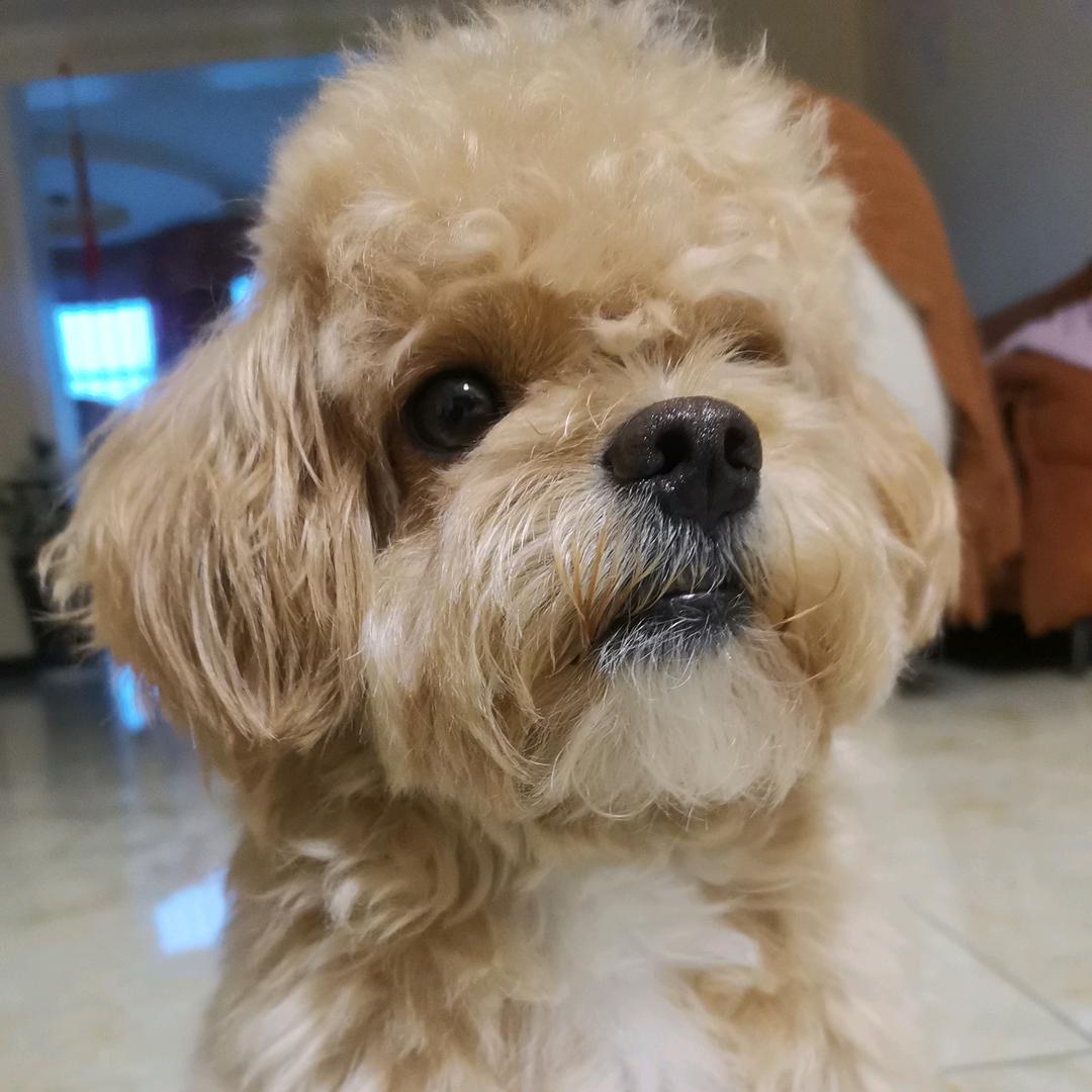 幸福每一天