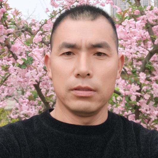 小鱼不会飞