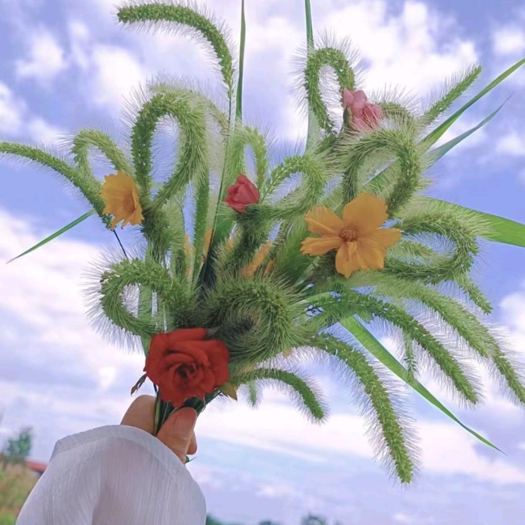 柠檬