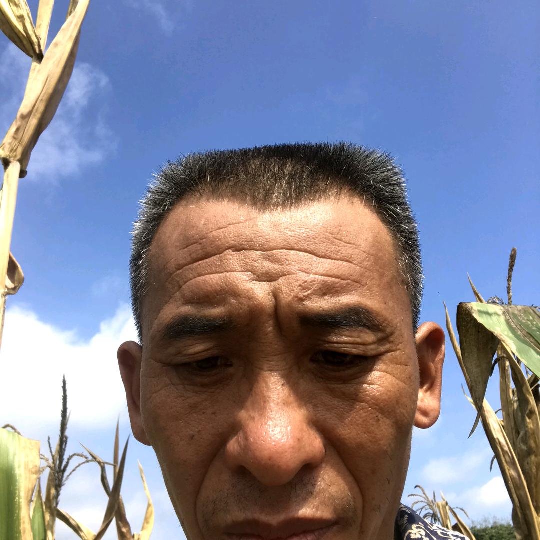 刘家老二哥72.5.17