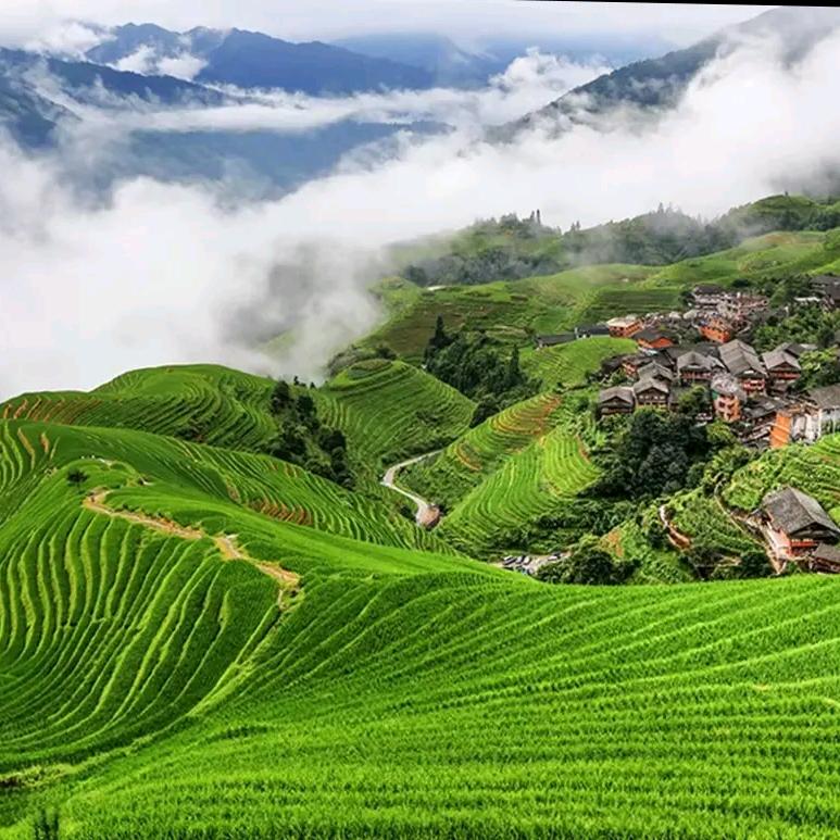 家用马桶器管道疏通个人店