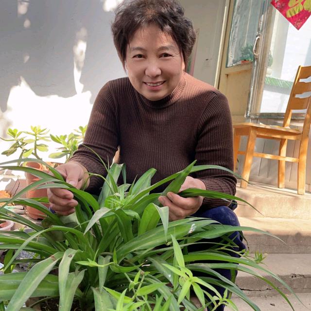 花开富贵