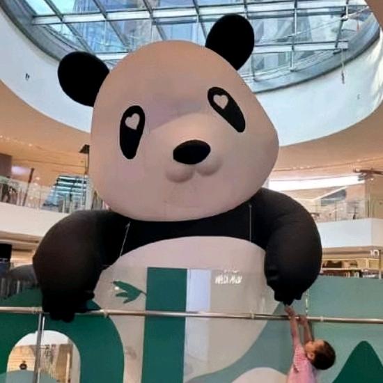张小宝的成长日记