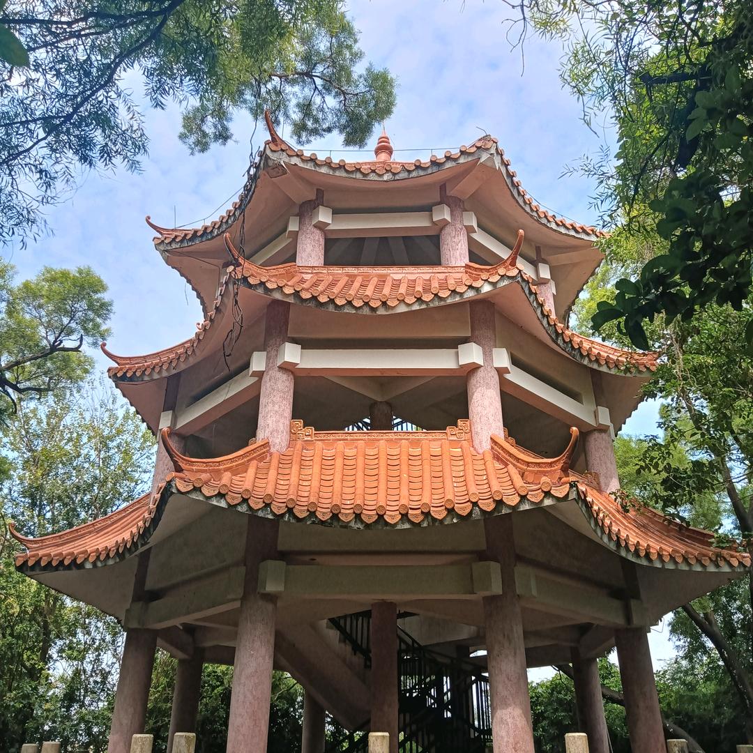 农人阿陵
