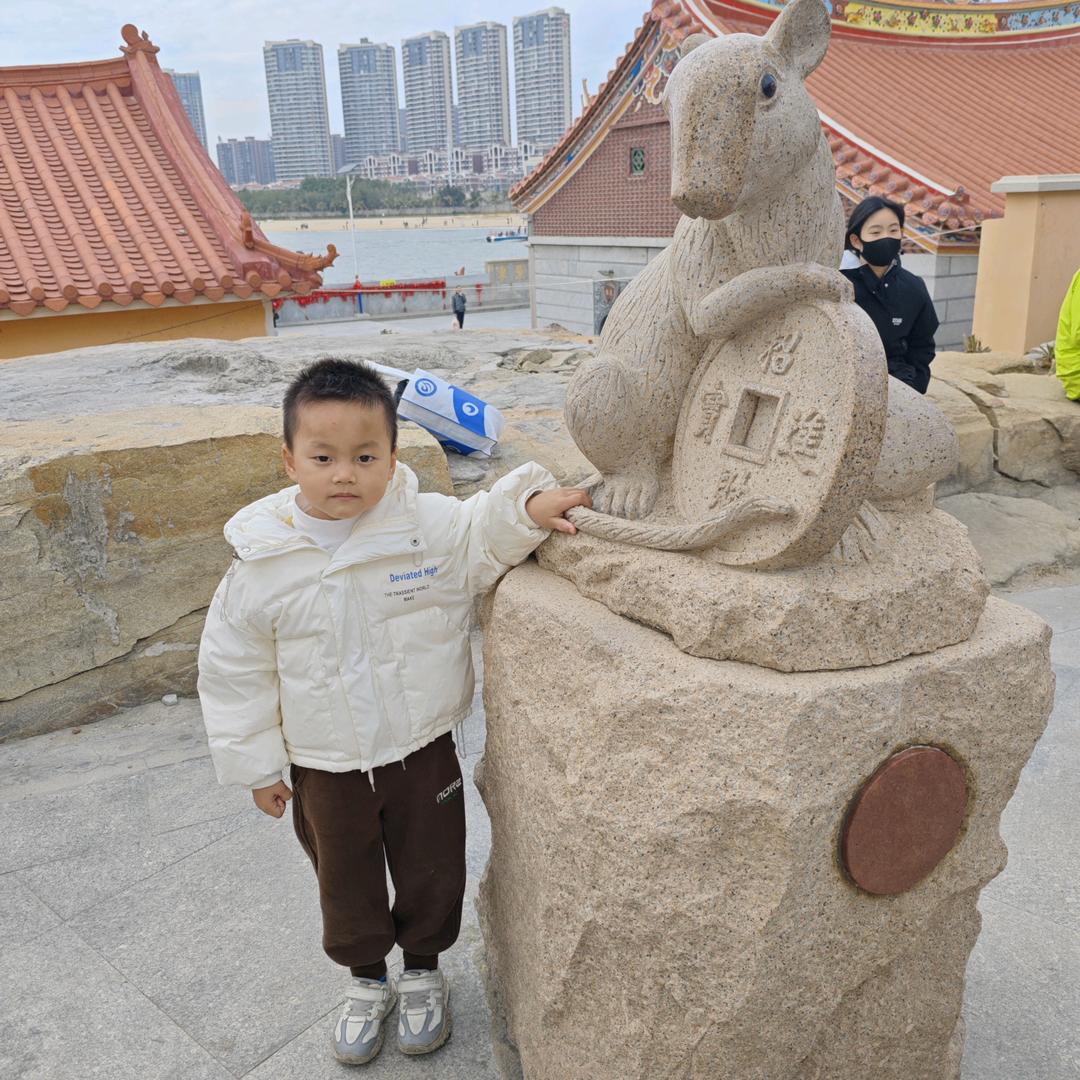 球球好物