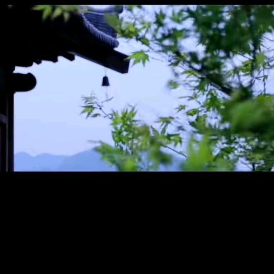 拼命三娘😇😇😇(禁止连赞，谢谢)
