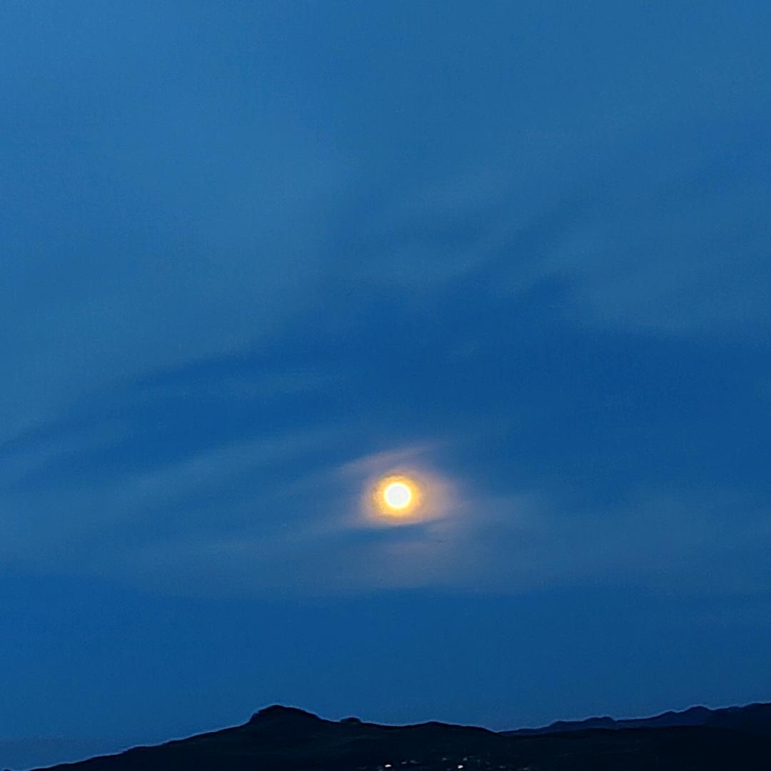 花庭序