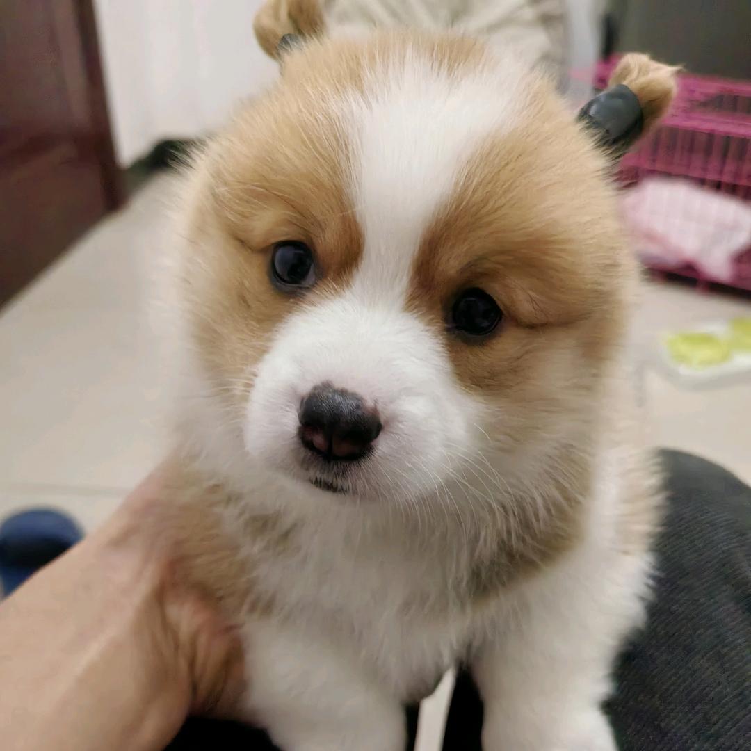 @一颗将冷的心丶