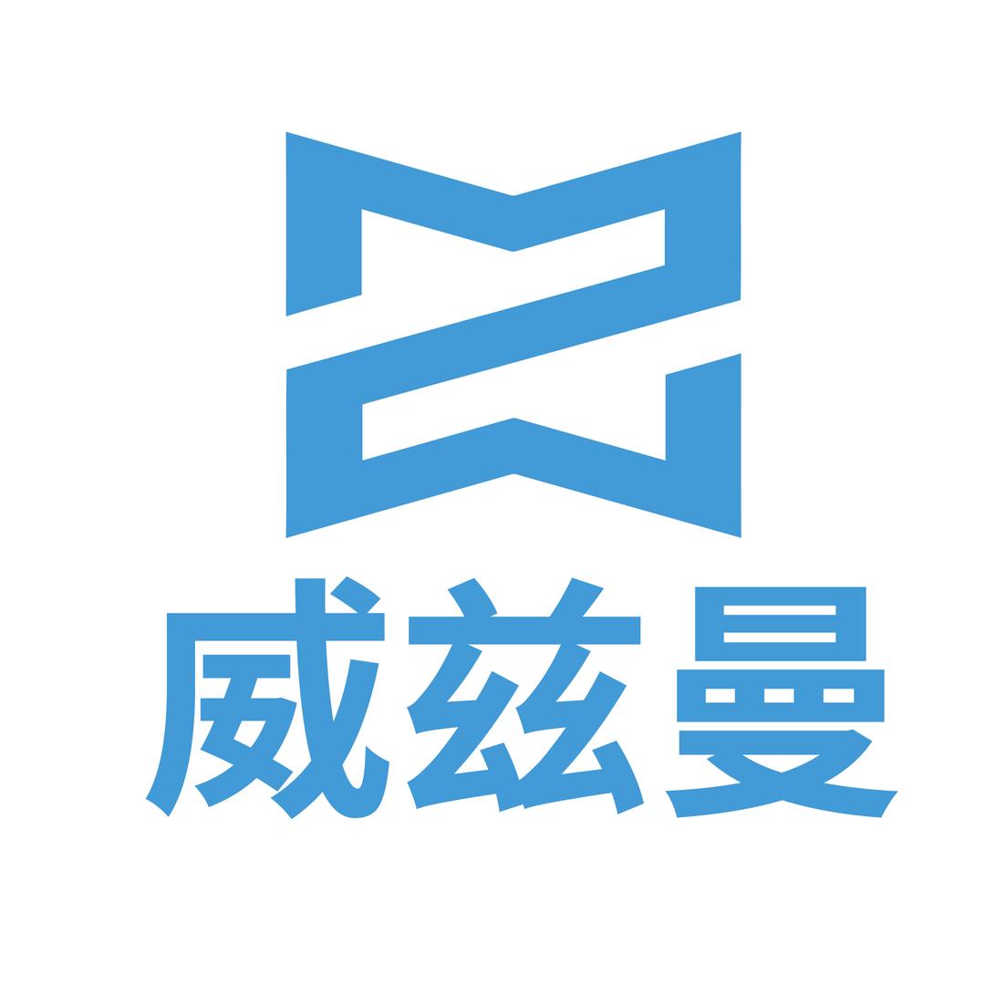 WZM威兹曼轻奢眼镜