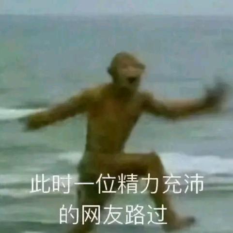 捣蛋熊