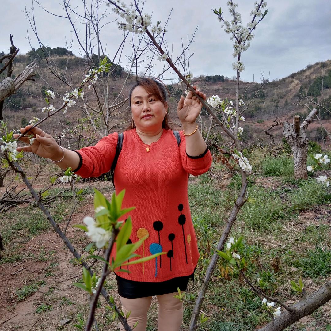 李红梅