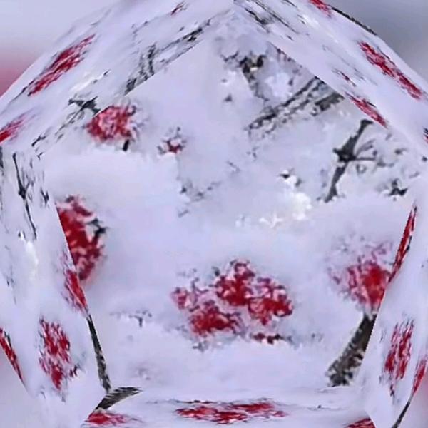 全是雪山