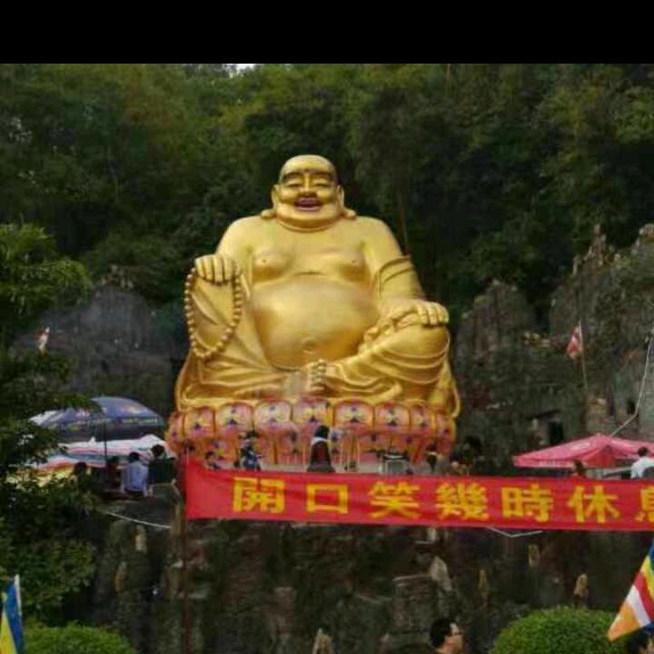 董