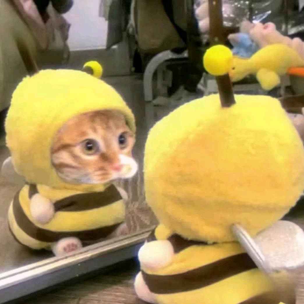 小猫蜜头像