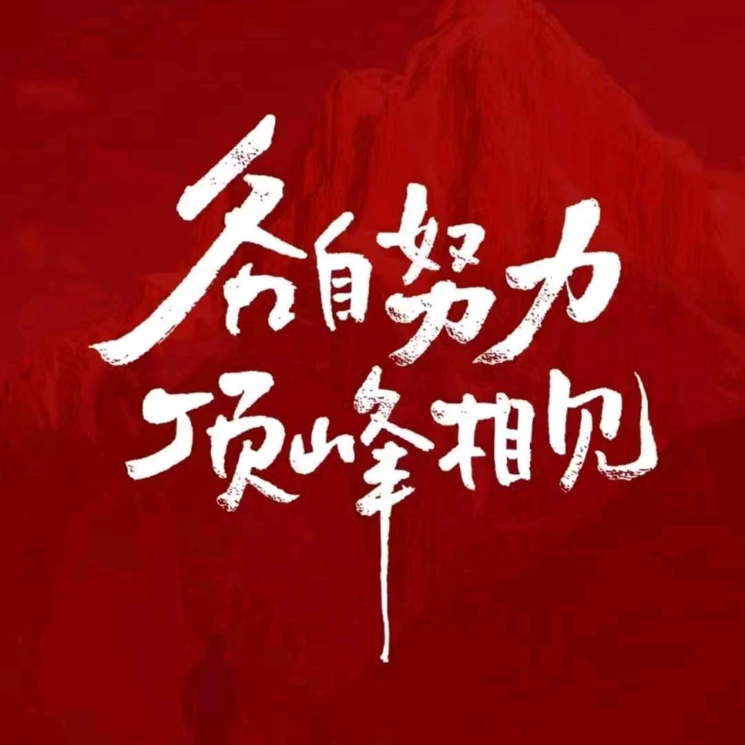 宝总驾到¹³¹⁹