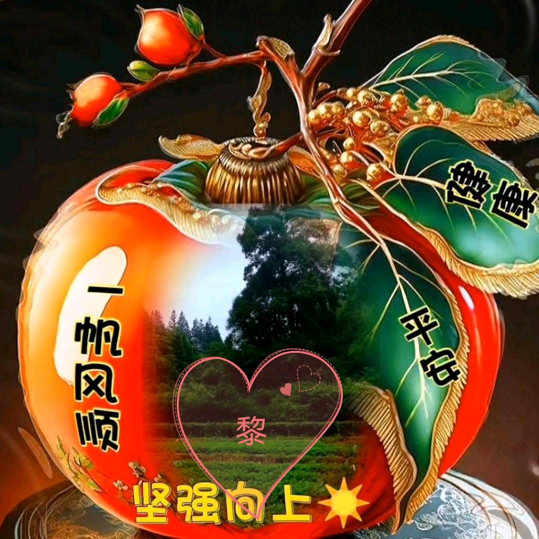坚强向上☀️