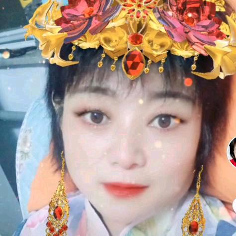 九华菊