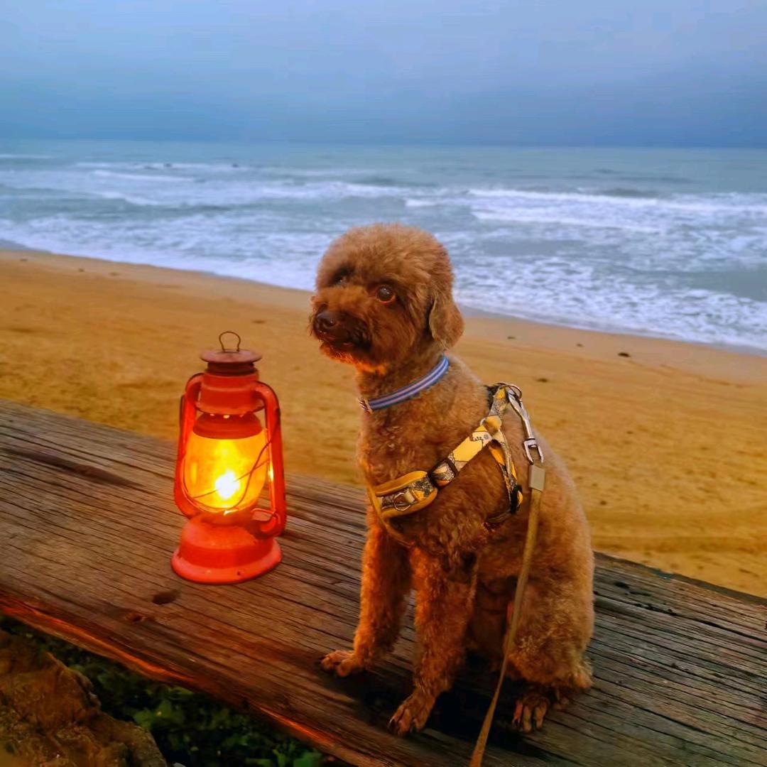 小雨